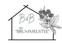 brummelstee (2)_edited.png