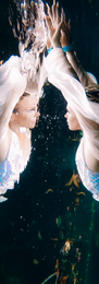 Underwater photography by Aydra J Swan
Tulum cenote