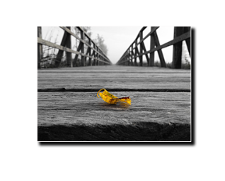 הדפסה על קנבס