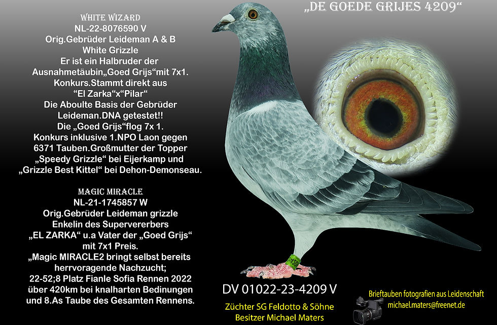 DV 04391-20-1371 V_edited.jpg