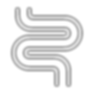 digestive tract bowels icon
