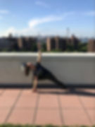 therapist with Zion Physical Therapy t-shirt demonstrating the side angle pose