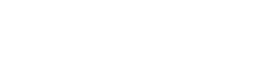 LOGO DIN LING als AI_20.08.2024.png