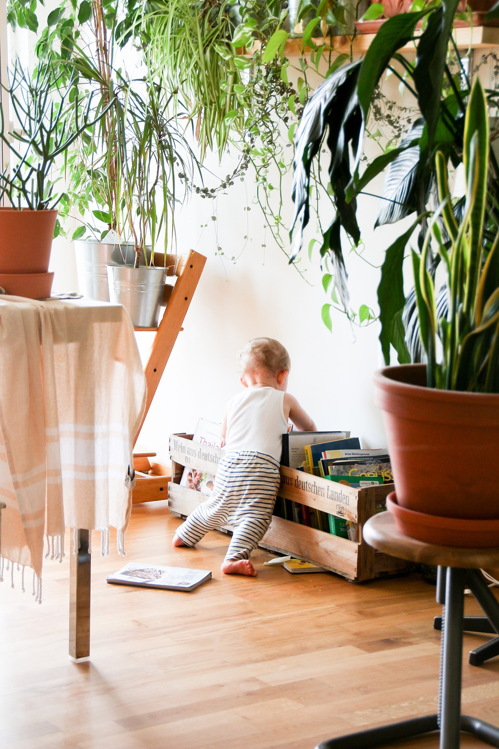 Photo by Brina Blum on Unsplash