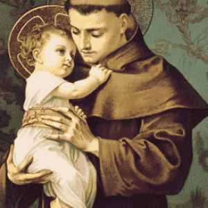 saint-anthony-of-padua-13-6-1631888489.gif