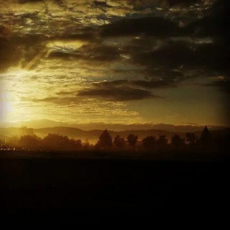 新年あけましておめでとうございます