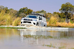 africa live it love it marga davis moremi 4x4 self drive safaris