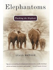 Elephantoms: Tracking the Elephant