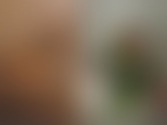 杉村徹 木工展と北欧の優れもの