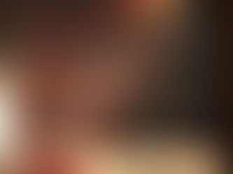 木のものづくり探訪