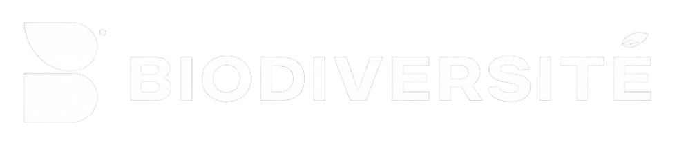 logo estilizado com .png