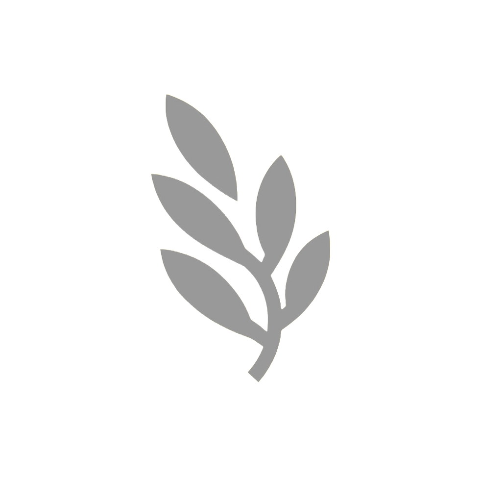 Adobe Express - file_edited_edited.png