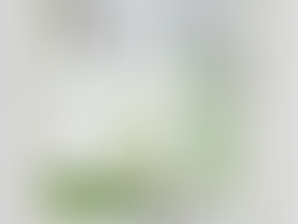 A Taste of Wildflowers