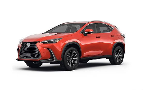 ModelY.jpg