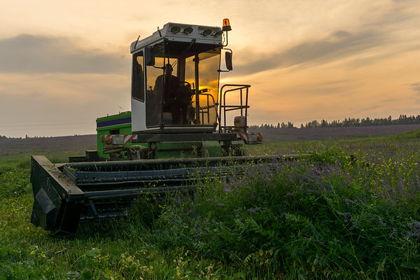 harvesting-machine-mows-field-alfalfa.jpg