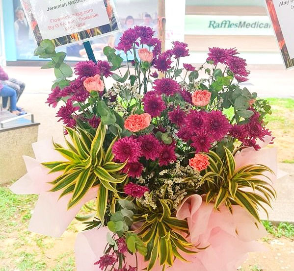 PINNACLE 巅峰（fs34)