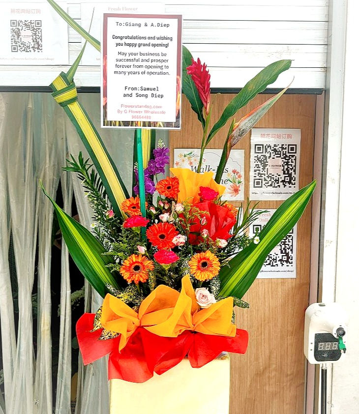 BLOOMING 绽放(fs48)