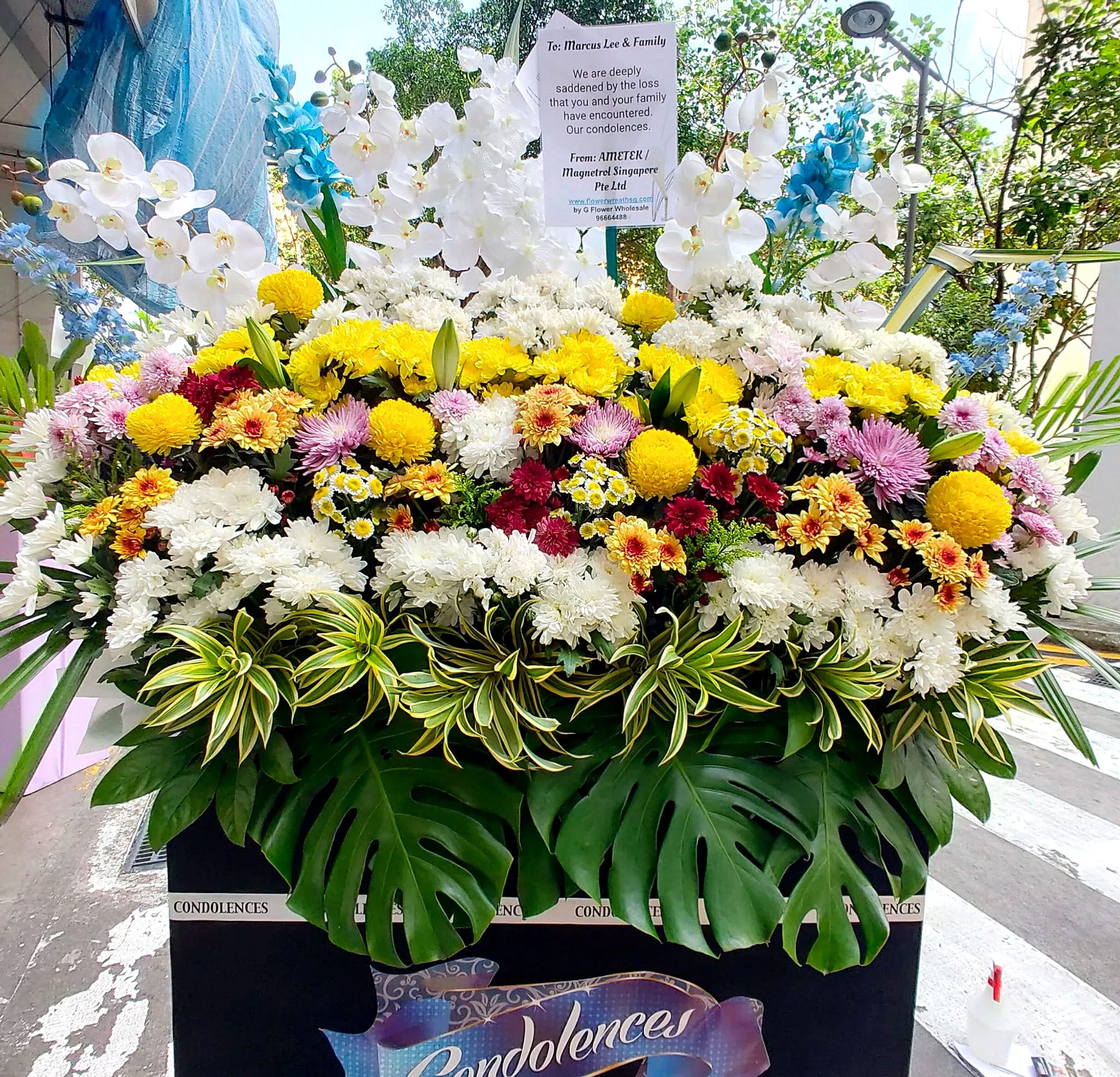 Final Goodbye 终需离 （CW172）