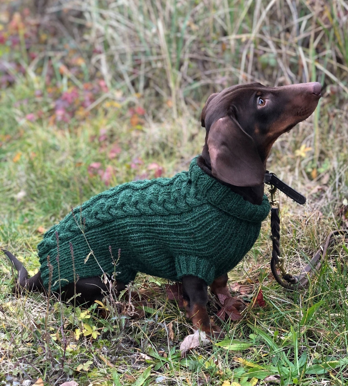 DACHSHUND ARAN JUMPER