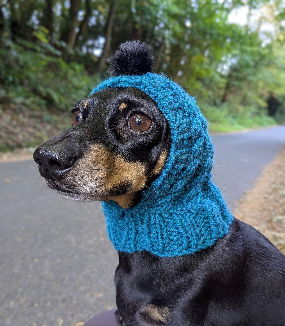 EARS IN ONE FLUFFY POMPOM HAT