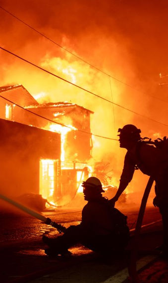 Plants over people? Regulatory gridlock and the Palisades fire | The Orange County Register.