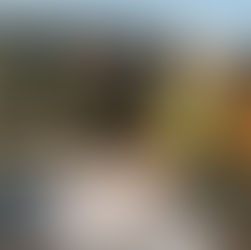 Concierge Rebuilding Services: Maximize Your Post-Fire Insurance Claim in California