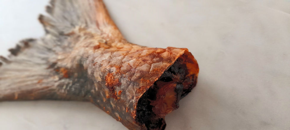 Thumbnail: salmon dog treats