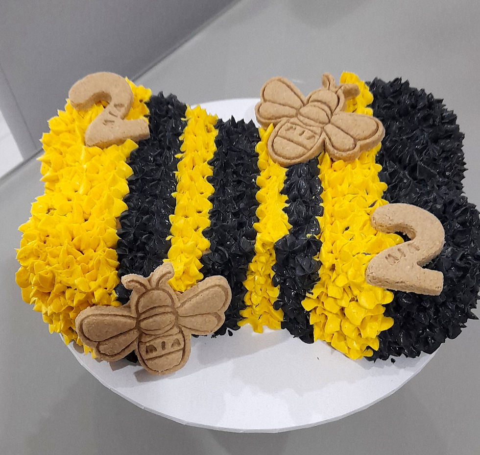 Eye-level view of a dog-friendly birthday cake decorated with natural ingredients