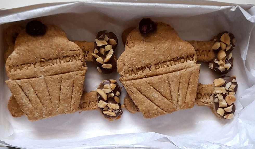 Thumbnail: pet biscuits