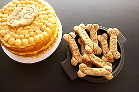 Pumpkin Oat cake for pets