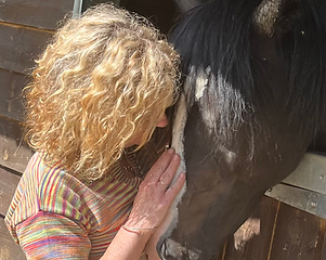 horse comforting an adult