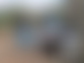 In Memoriam: Dr. Mikal Nasir Rasheed