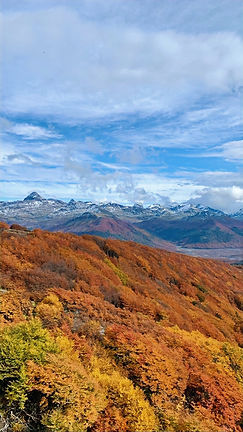 WhatsApp Image 2026-04-07 at 6.40_edited.jpg