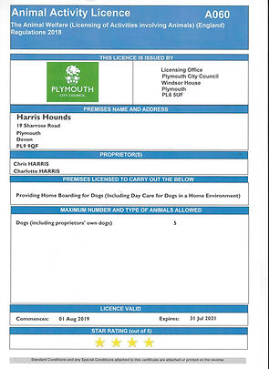 Boarding Licence.jpeg