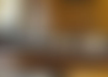 質疑に立ちました（国民生活・経済に関する調査会