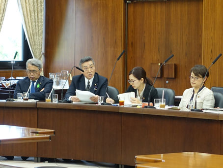 質疑に立ちました(国民生活・経済に関する調査会