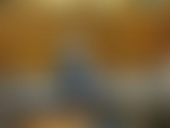 質疑に立ちました(文教科学委員会)