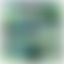 2018.11/7(水)20:00~22:00@北花田