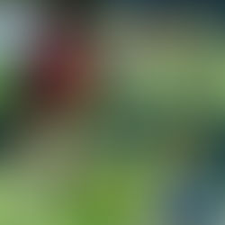 2019.2/10(日)17:00~19:00@北花田