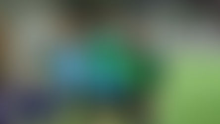 2017.11/30（木）21:00～23:00@上新庄