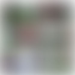 2018.11/3(土)9:00~11:00@上新庄