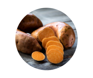 Camote