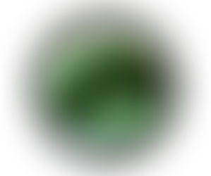Espinaca