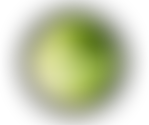 Lechuga romana