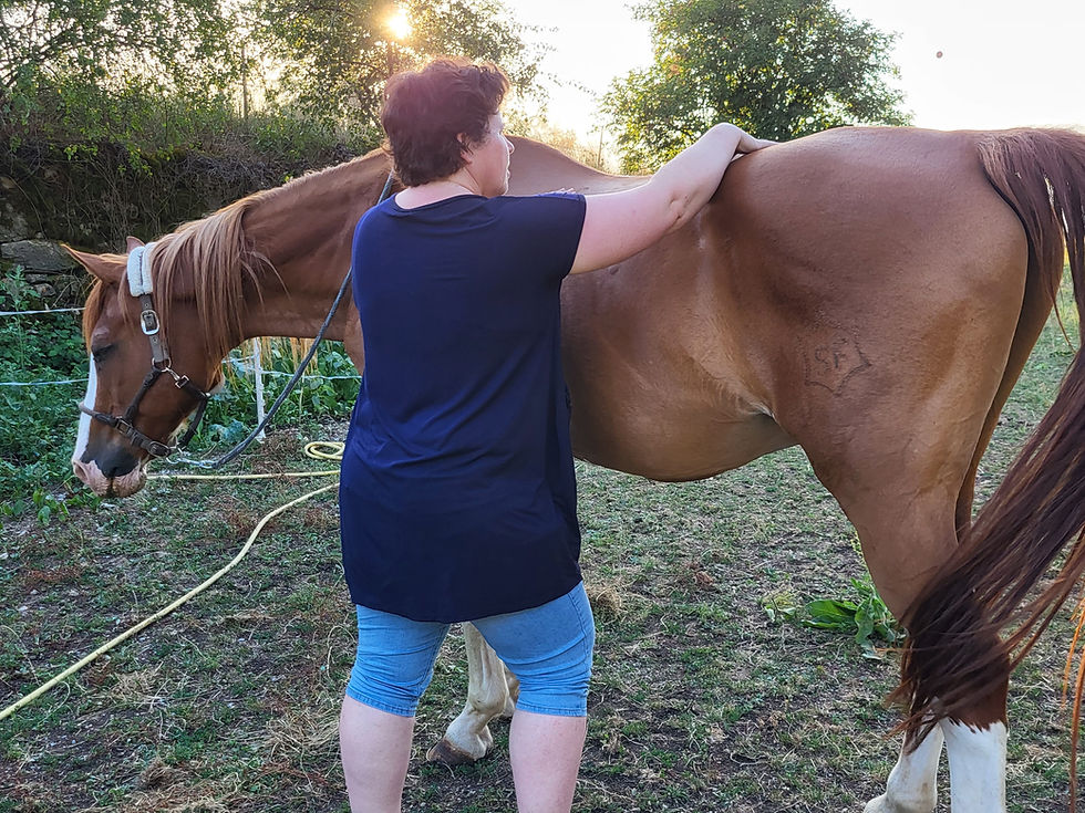 Shiatsu animalier Savoie