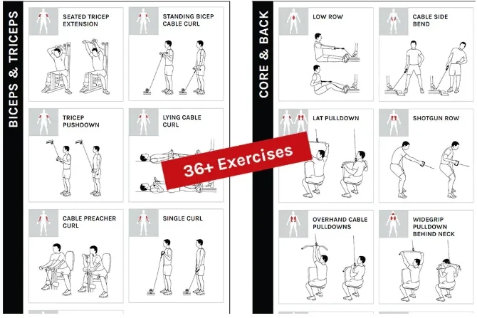Chart of exercises the multi-gym covers