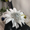 Thumbnail: Center 36" Personalized Wedding Jumping broom IMANI Black\ African American Bridal