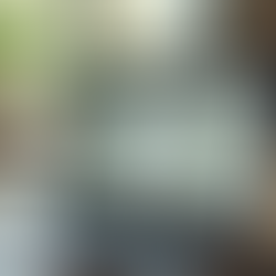 The Advantages of Wedding Digital Proofing