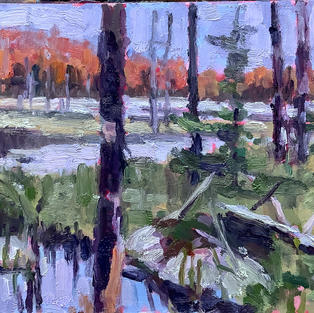 7x9 Sporty oil on board.JPEG