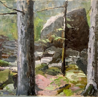 16x20 Creek bed Lac Bouchon Quebec.JPEG